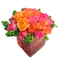 Magium - Regalar Rosas, Regalar tulipanes, regalar flores,regalar arreglos florales, regalar regalos