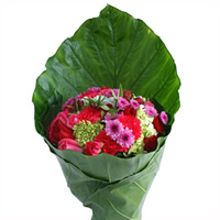 Bouquet Virgen - Regalar Rosas, Regalar tulipanes, regalar flores,regalar arreglos florales, regalar regalos
